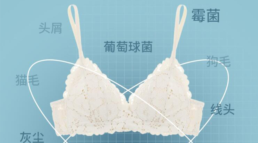 分析內衣褲小型烘干機到底該不該買