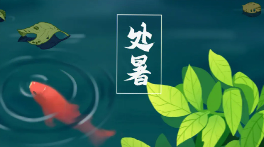 金環電器提醒你 處暑天氣干衣要注意的事項