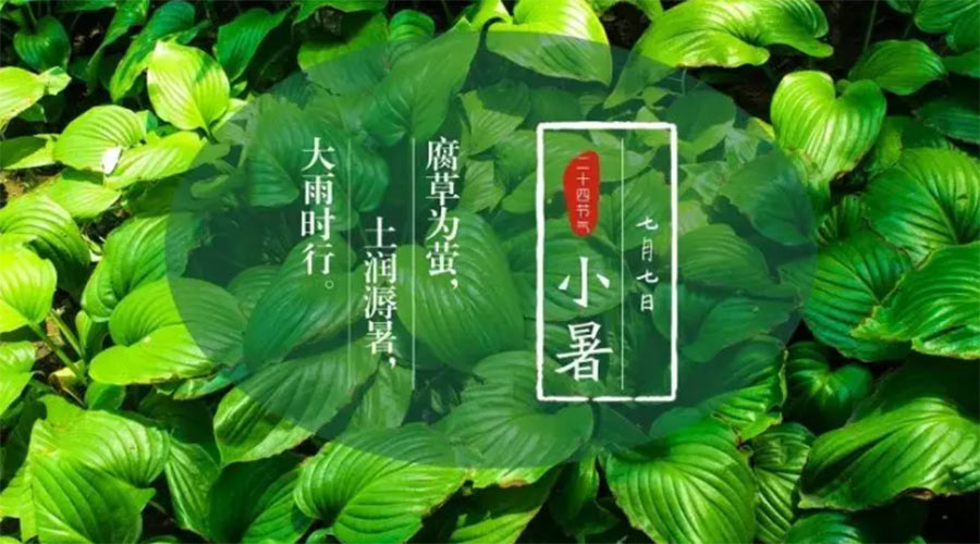 小暑時節來到！金環電器提醒大家要注意的事項